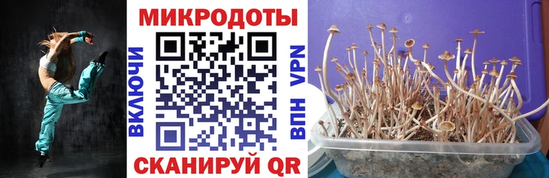 Галлюциногенные грибы Cubensis  Красногорск 
